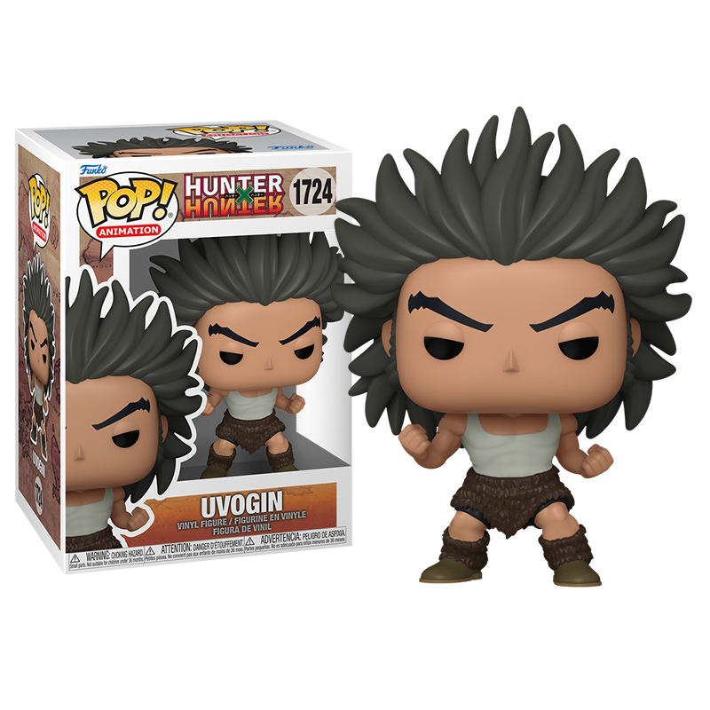 HUNTER X HUNTER - POP UVOGIN