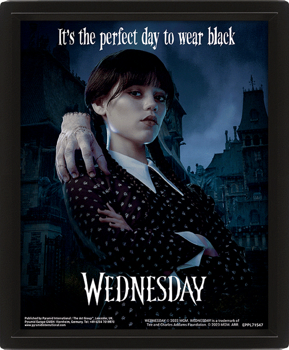 MIÉRCOLES - PÓSTER 3D PERFECT DAY