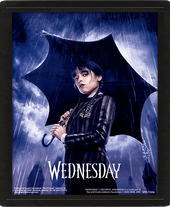 MIÉRCOLES - PÓSTER 3D UMBRELLA