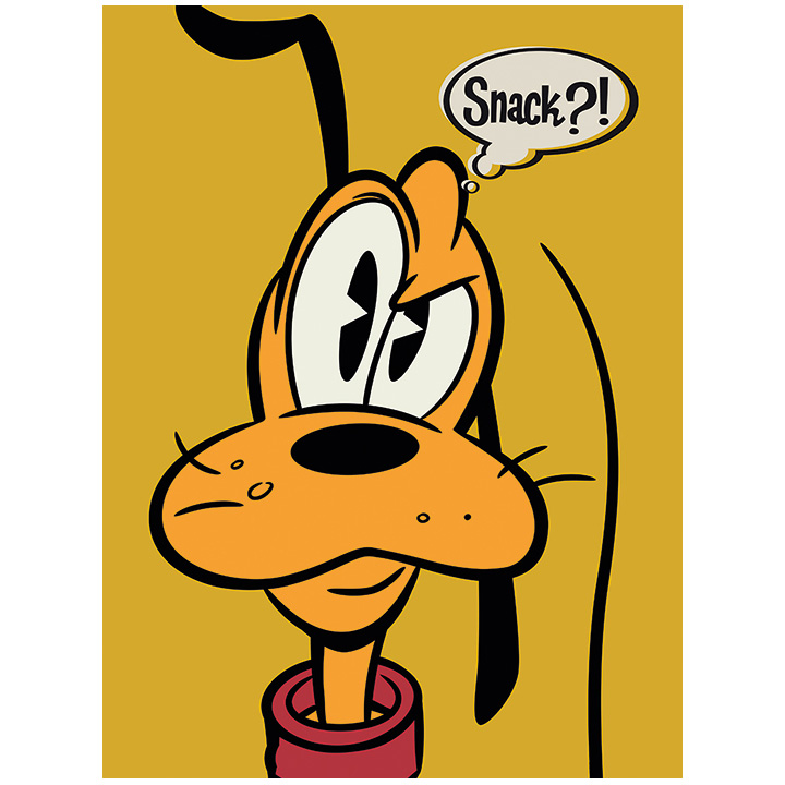 PLUTO - LIENZO 30X40 PLUTO SNACK?