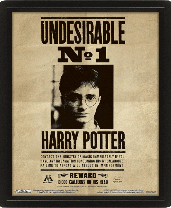 HARRY POTTER - PÓSTER 3D POTTER / SIRIUS